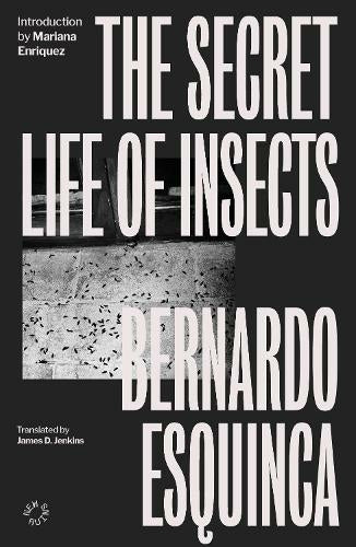 The Secret Life of Insects by Bernardo Esquinca