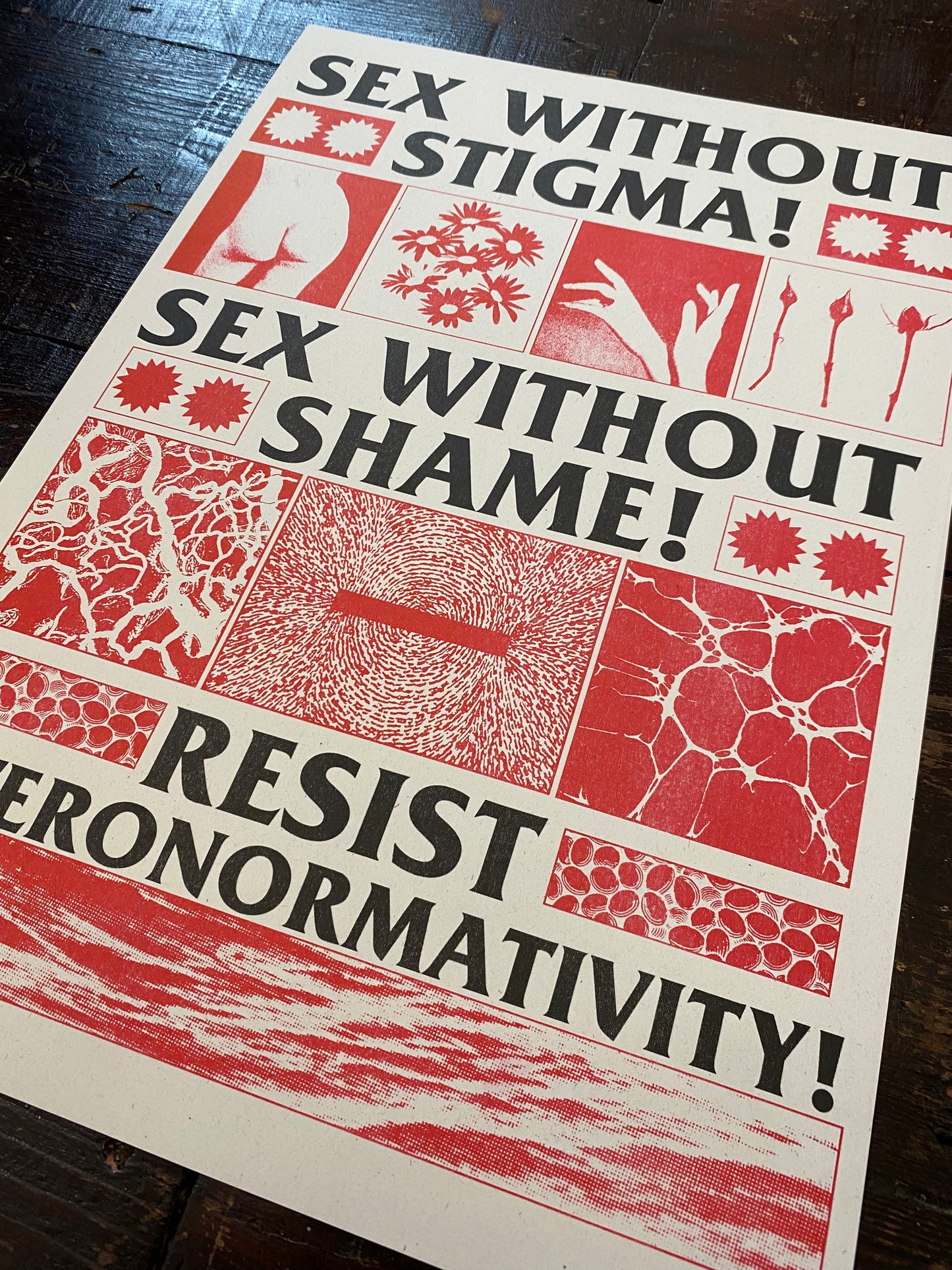 SEX WITHOUT STIGMA A3 RISO PRINT by Black Lodge Press