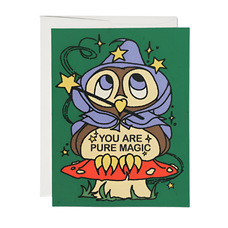 Owl Wizard friendship greeting card by Red Cap Cards