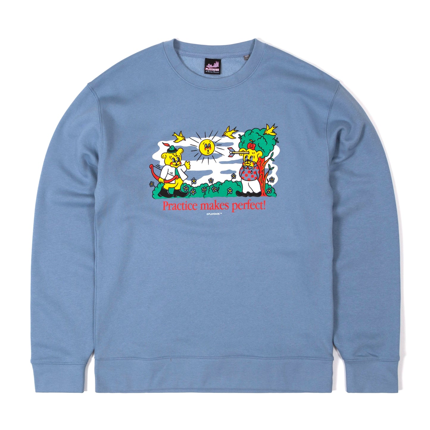 Practice Makes Perfect Crewneck Baby Blue Sweater from Playdude