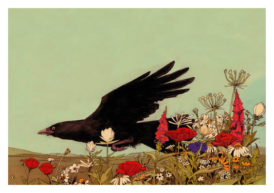 A3 Crow + Wildflowers Giclee ART Print By Willem Hampson