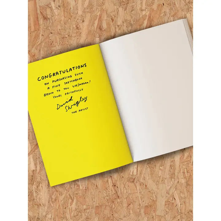 Be An Artist Sketchbook by David Shrigley