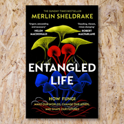 Entangled Life by Merlin Sheldrake - Family Store