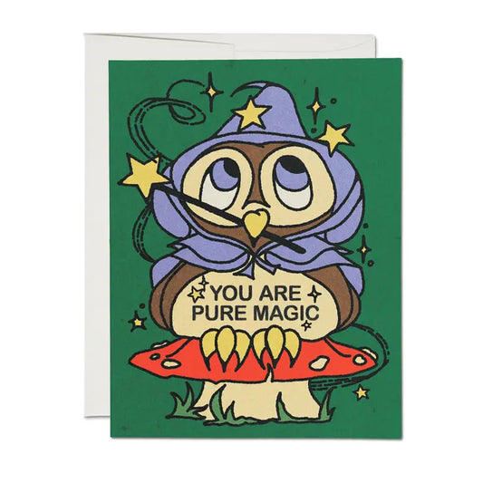 Owl Wizard friendship greeting card by Red Cap Cards