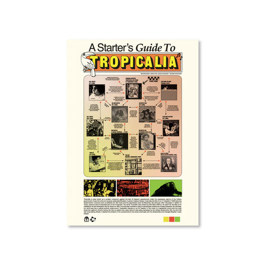 A Starter Guide to Tropikalia Prints By Pass the Peas