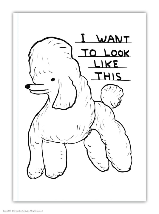 Want To Look Like This A6 Notebook by David Shrigley