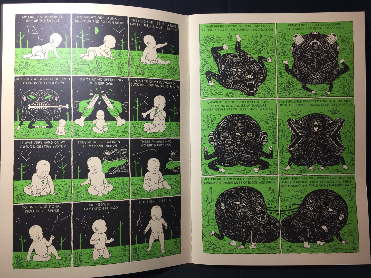 Baby in the Boneyard (2°ed.) from Hollow Press