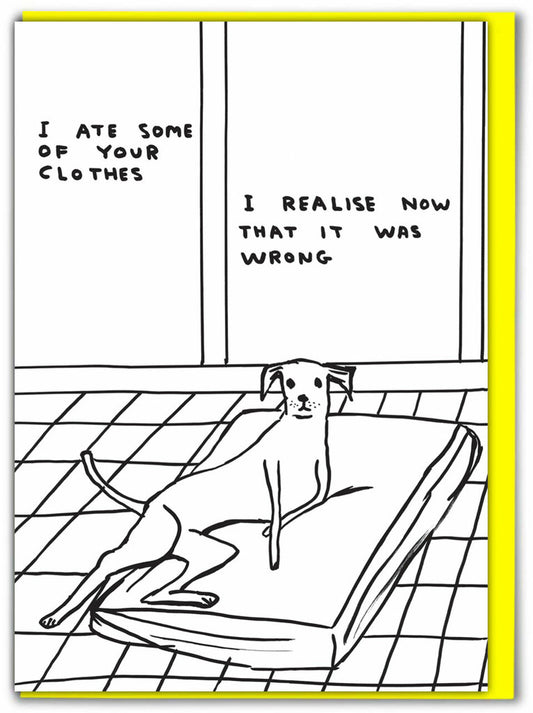 I ATE YOUR CLOTHES Card by David Shrigley