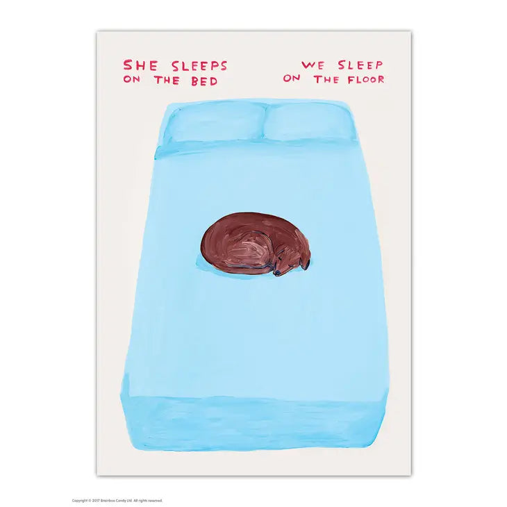 She Sleeps On The Bed Postcard by David Shrigley