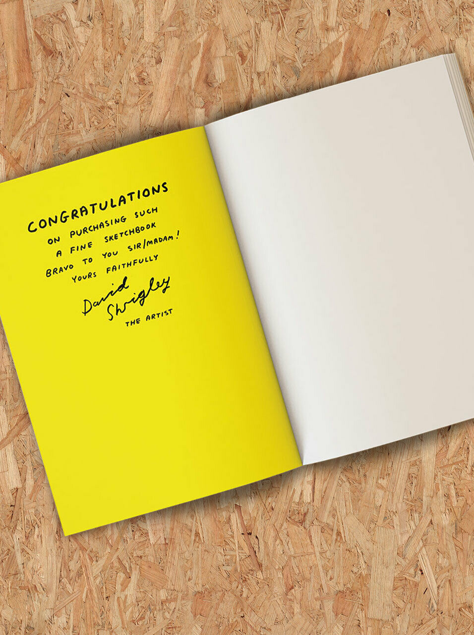 No One Disrespects My Drawings Sketchbook by David Shrigley